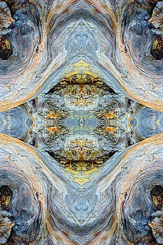 Abstract pattern in driftwood-Bandon Beach-Oregon Beach Print